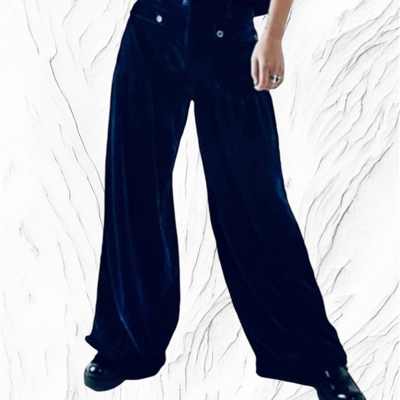 FREE PEOPLE NWT Host Pick 🎉 WE THE FREE VELVET LOTUS PANT BLUE Waist27 size 25 - Picture 3 of 10